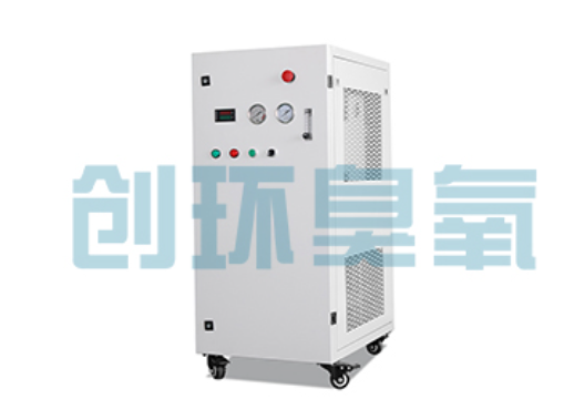 长春石斑鱼养殖水质调控完整指南：臭氧发生器配置与操作步骤