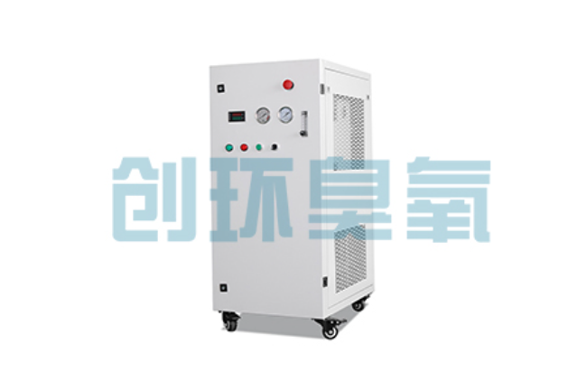 长春比传统换水更高效？臭氧发生器在石斑鱼养殖中的水质净化原理解析