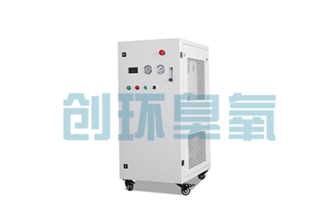 长春比传统换水更高效？臭氧发生器在石斑鱼养殖中的水质净化原理解析